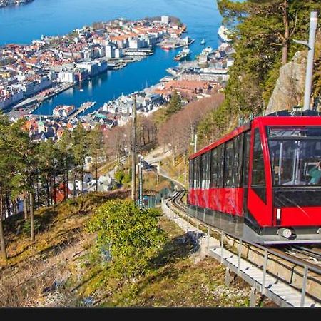 Sentrumsnaer Leilighet Med 3 Soverom. Bergen Dış mekan fotoğraf